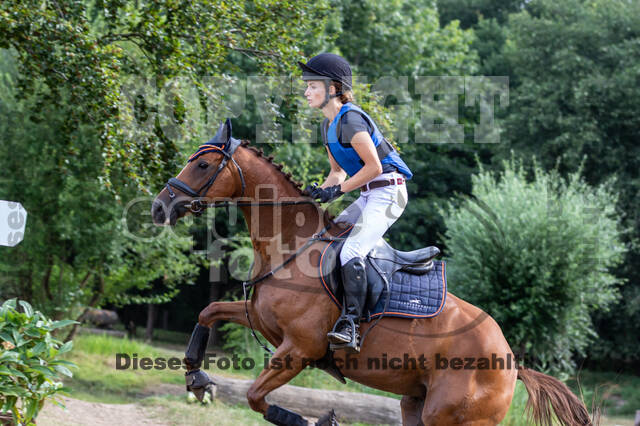 Late-Entry Vielseitigkeit Hamminkeln/Wesel (01.+02.08.2020)