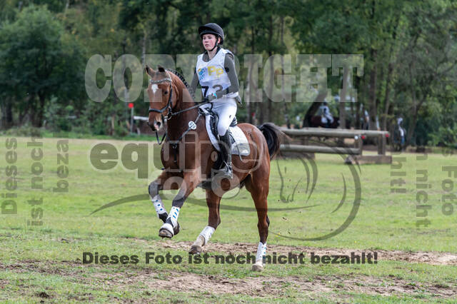 Vielseitigkeit RSV Wesel Obrighoven (26.+27.09.2020)