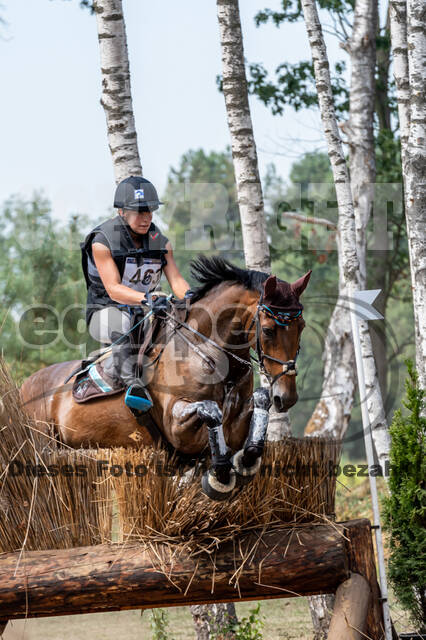 De Peelbergen (August 2020)