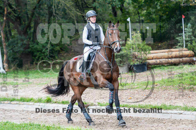 Goldene Schärpe 2020 - Pferde