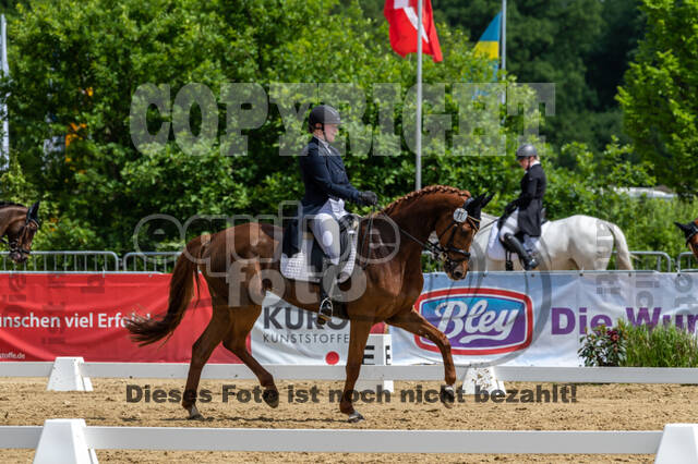 Westerstede Horse Trials 2021