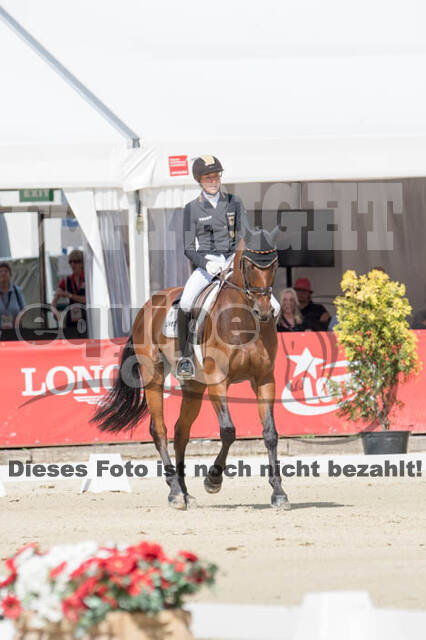 FEI European Championship Eventing 2017