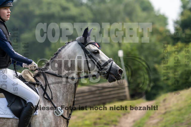 Goldene Schärpe 2021 - Ponys