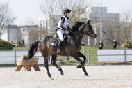 Eventing Langenfeld 2018