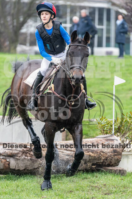 Goldene Schärpe 2020 - Pferde