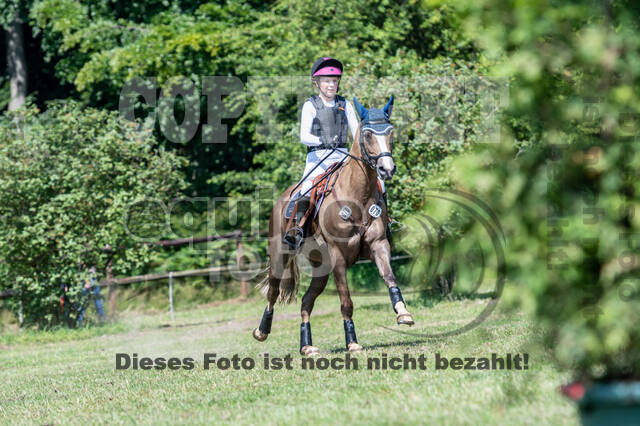 Goldene Schärpe 2021 - Ponys