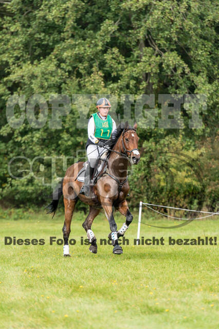 Deutsche Meisterschaft Vielseitigkeit (Luhmühlen)