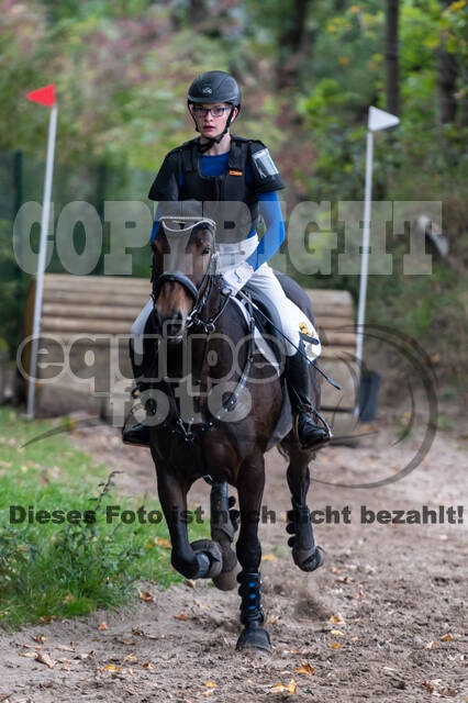 Goldene Schärpe 2020 - Pferde