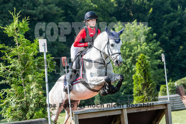 Goldene Schärpe 2021 - Ponys