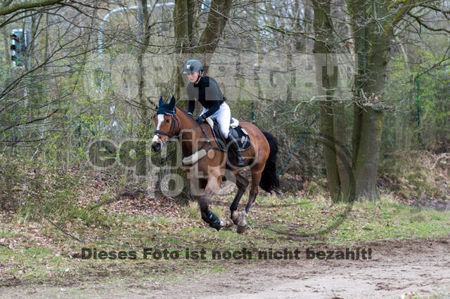 Eventing im Pferdesportzentrum Rheinland (Late Entry 14.03.2022)