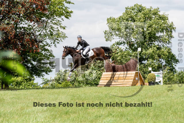 Bonn-Rodderberg Late-Entry-Vielseitigkeit (30.06.2020)