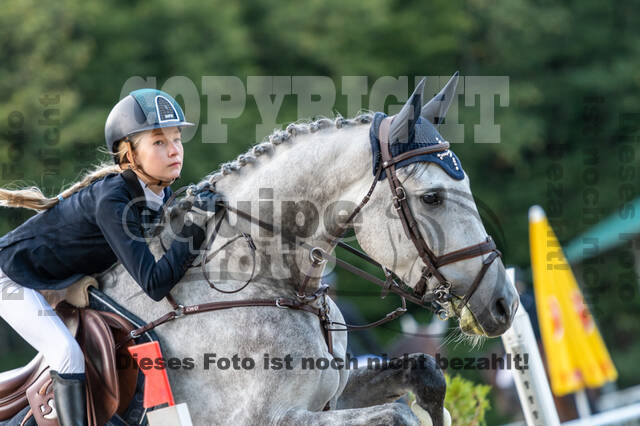 RFV Dinslaken-Hiesfeld (Herbstturnier)