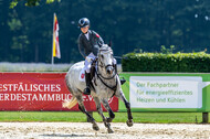 Goldene Schärpe 2021 - Ponys
