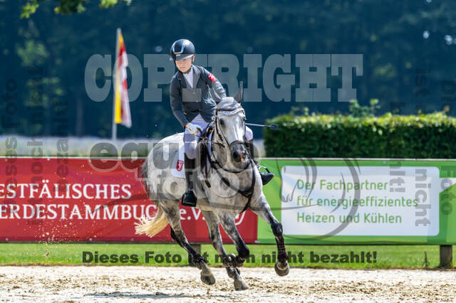 Goldene Schärpe 2021 - Ponys
