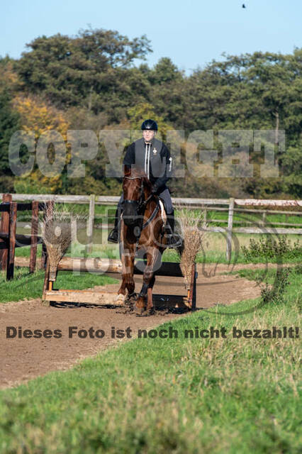 Vielseitigkeitslehrgang mit Jürg Kurbel (9.+10.11.2019)