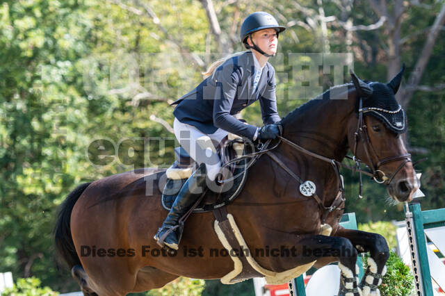 RFV Dinslaken-Hiesfeld (Herbstturnier)