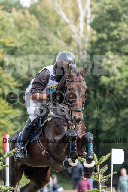 Vielseitigkeit RSV Wesel Obrighoven (26.+27.09.2020)