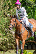 Westerstede Horse Trials 2021