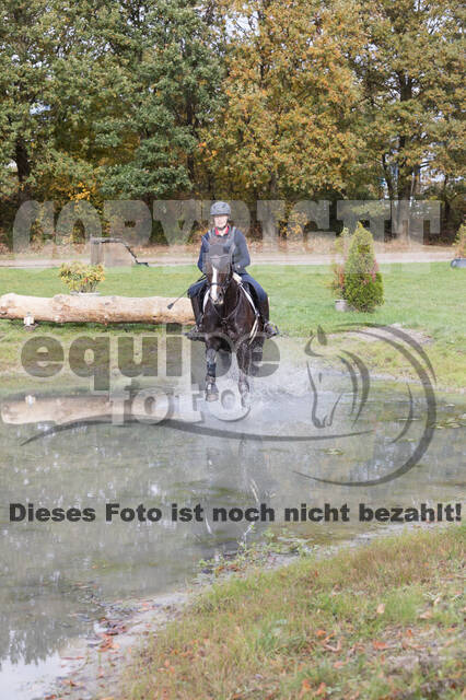 IGV Lehrgang der Sieger der Cups mit Frank Ostholt