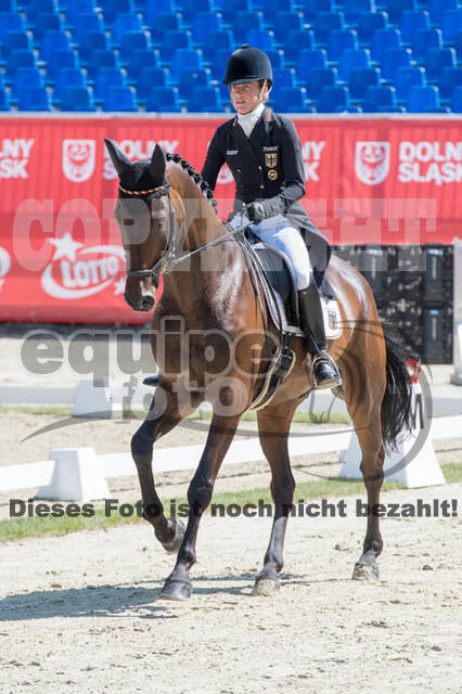 FEI European Championship Eventing 2017