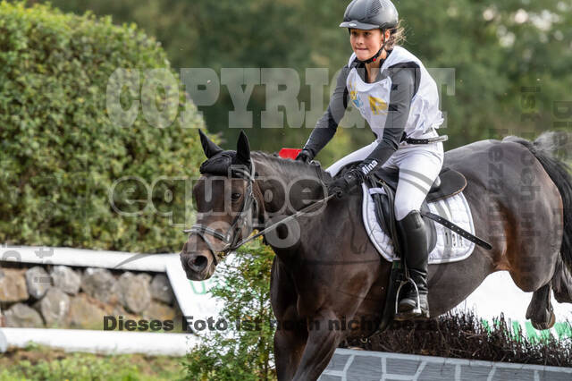 Vielseitigkeit RSV Wesel Obrighoven (26.+27.09.2020)