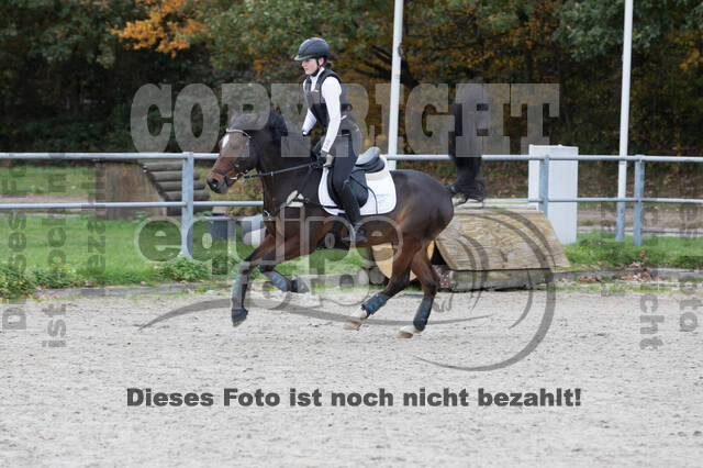 IGV Lehrgang der Sieger der Cups mit Frank Ostholt