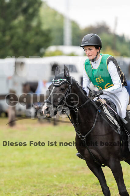 Vielseitigkeit RSV Wesel Obrighoven (26.+27.09.2020)