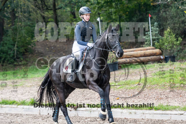 Goldene Schärpe 2020 - Pferde