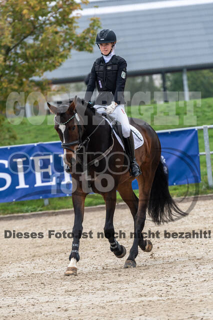 Goldene Schärpe 2020 - Pferde