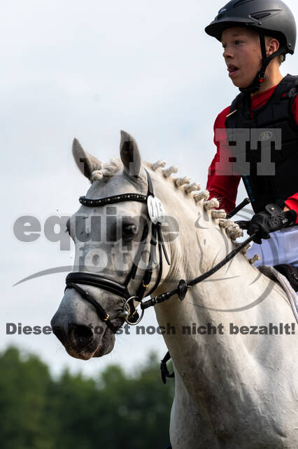 Goldene Schärpe 2021 - Ponys