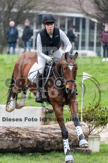 Goldene Schärpe 2020 - Pferde