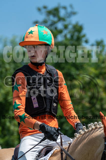 Goldene Schärpe 2021 - Ponys