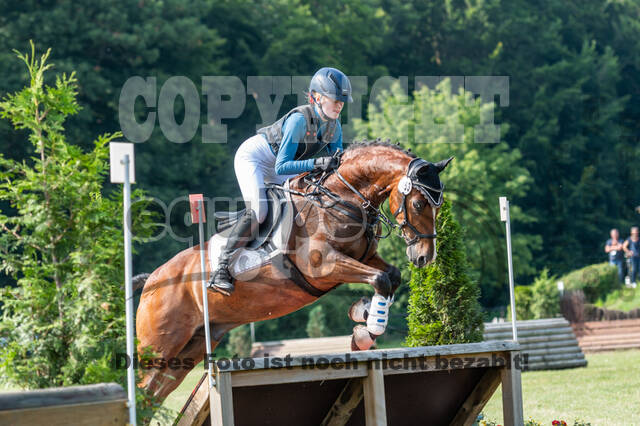 Goldene Schärpe 2021 - Ponys