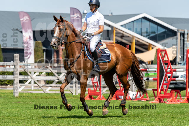 Kronenberg - De Peelbergen (August 2020)