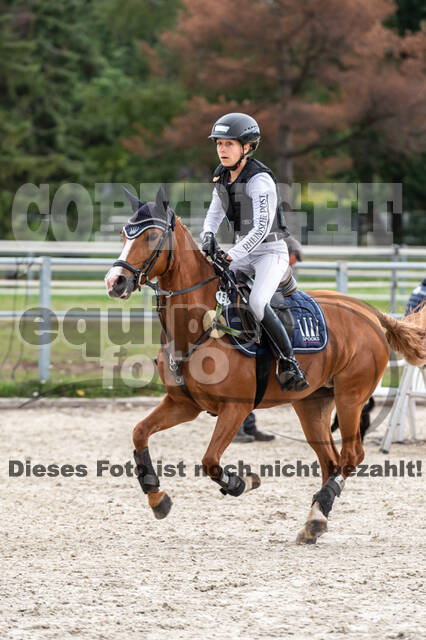 Late-Entry-Vielseitigkeit Langenfeld (06.+07.07.2020)