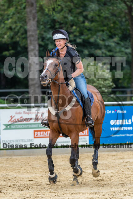 Hunter Geländetraining 10.07.2021 (Sonsbeck)