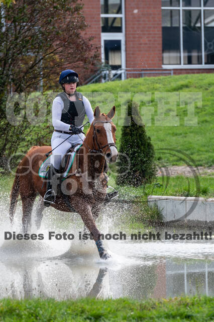 Goldene Schärpe 2020 - Pferde