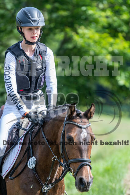 Goldene Schärpe 2021 - Ponys