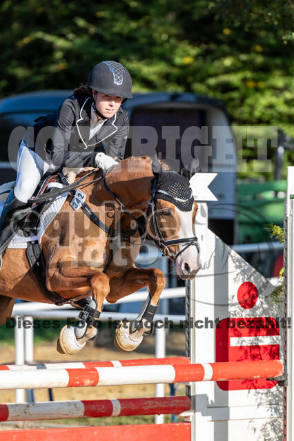 RFV Dinslaken-Hiesfeld (Herbstturnier)
