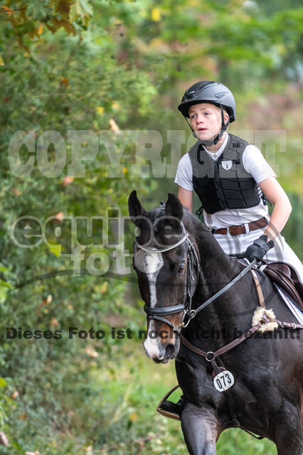 Goldene Schärpe 2020 - Pferde