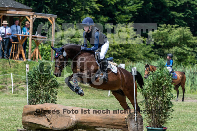 Goldene Schärpe 2021 - Ponys