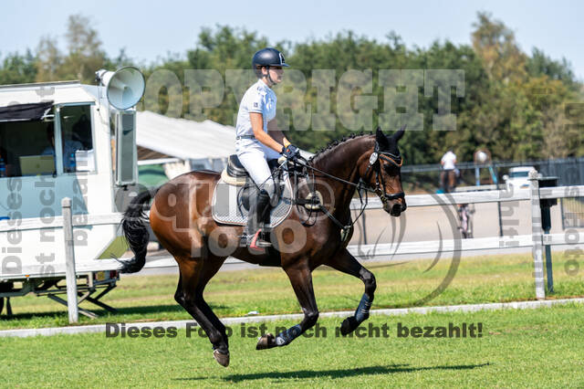 Kronenberg - De Peelbergen (August 2020)