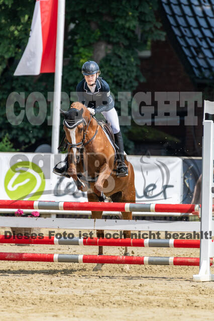 Goldene Schärpe 2021 - Ponys