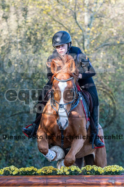 Vielseitigkeitslehrgang mit Jürg Kurbel (9.+10.11.2019)