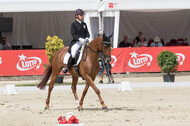 FEI European Championship Eventing 2017