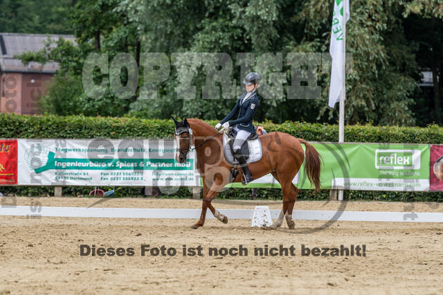 Goldene Schärpe 2021 - Ponys