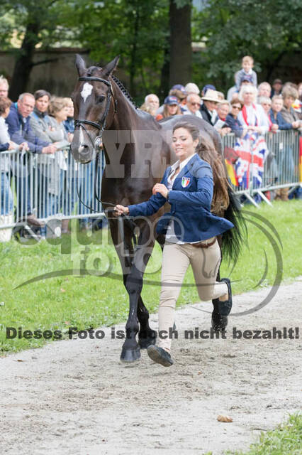 FEI European Championship