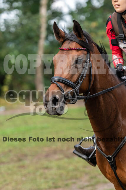 De Peelbergen (August 2020)