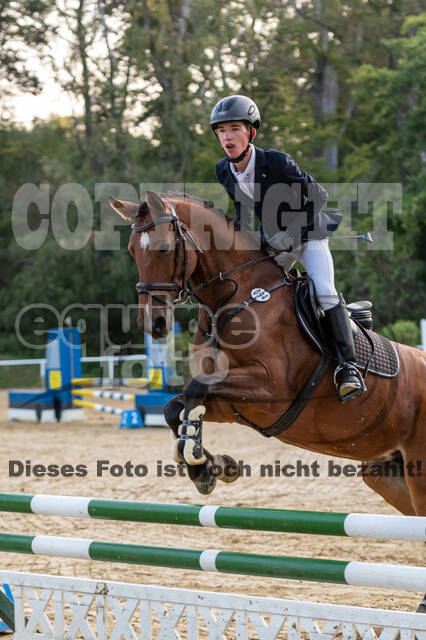 RFV Dinslaken-Hiesfeld (Herbstturnier)