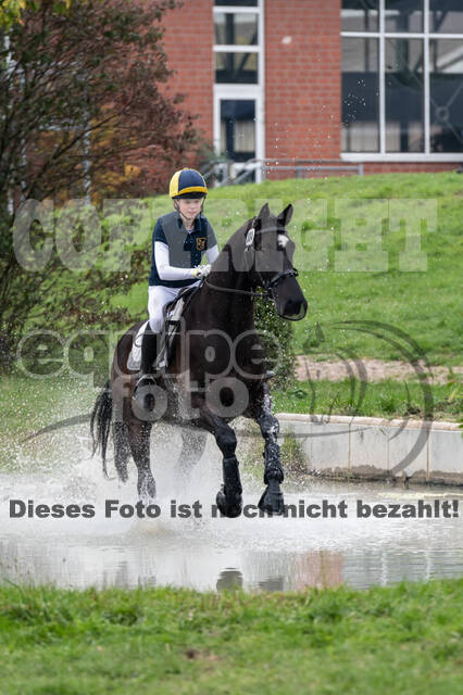 Goldene Schärpe 2020 - Pferde